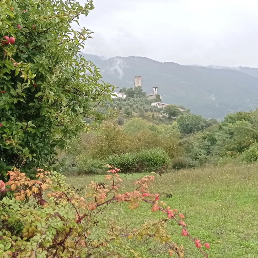 Scorcio di borgo tra rami